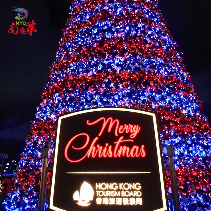 40 ft Christmas Tree best