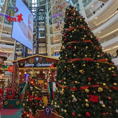 מגדל ענק עצי חג המולד